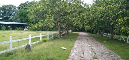 FOR SALE: Lot / Land / Farm Batangas > Other areas