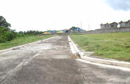 FOR SALE: Lot / Land / Farm Cavite > Dasmarinas 11