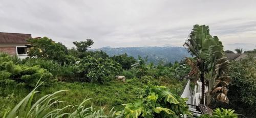 FOR SALE: Office / Commercial / Industrial Tagaytay