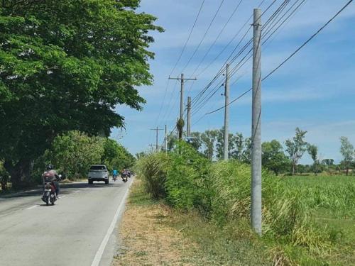 FOR SALE: Lot / Land / Farm Tarlac