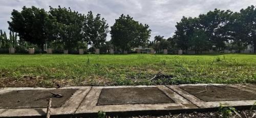 FOR SALE: Lot / Land / Farm Laguna > Other areas 3