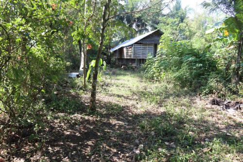 FOR SALE: Lot / Land / Farm Negros Occidental > Other areas