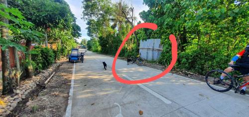 FOR SALE: Lot / Land / Farm Negros Occidental > Other areas 1