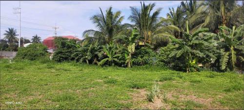 FOR SALE: Lot / Land / Farm Cavite > Dasmarinas 4