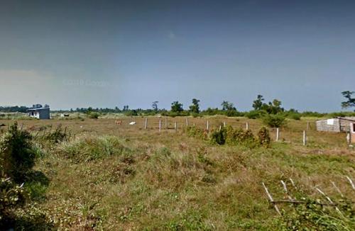 FOR SALE: Lot / Land / Farm Cavite