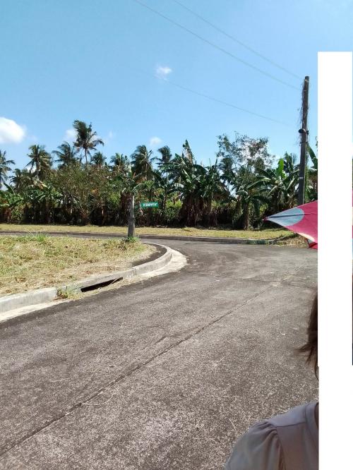 FOR SALE: Lot / Land / Farm Batangas > Lipa City 1