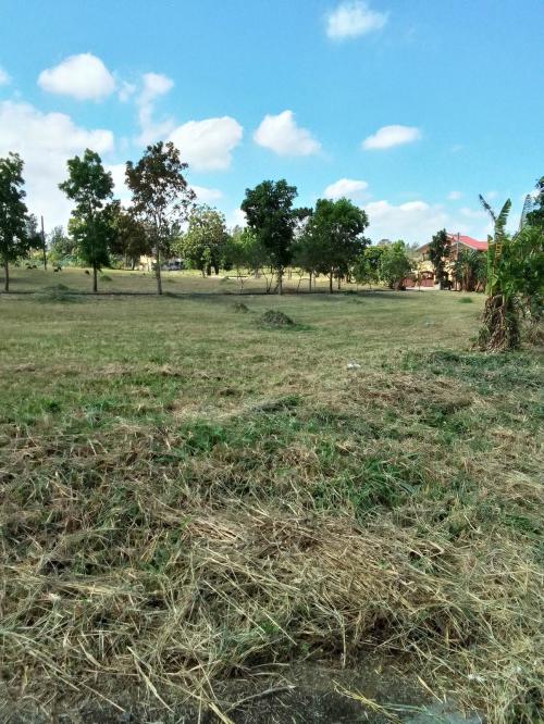 FOR SALE: Lot / Land / Farm Batangas > Lipa City 2