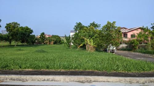 FOR SALE: Lot / Land / Farm Batangas > Lipa City 4