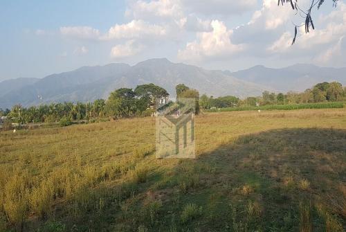 FOR SALE: Lot / Land / Farm Pangasinan > Tayug