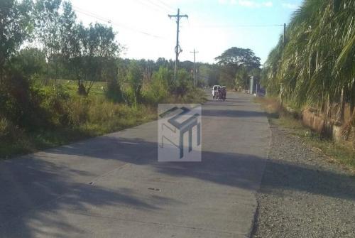 FOR SALE: Lot / Land / Farm Pangasinan > Tayug 1