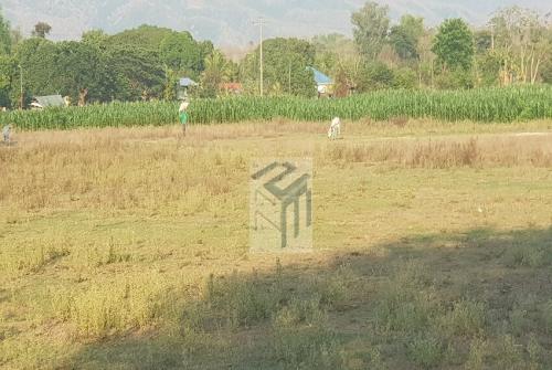FOR SALE: Lot / Land / Farm Pangasinan > Tayug 2