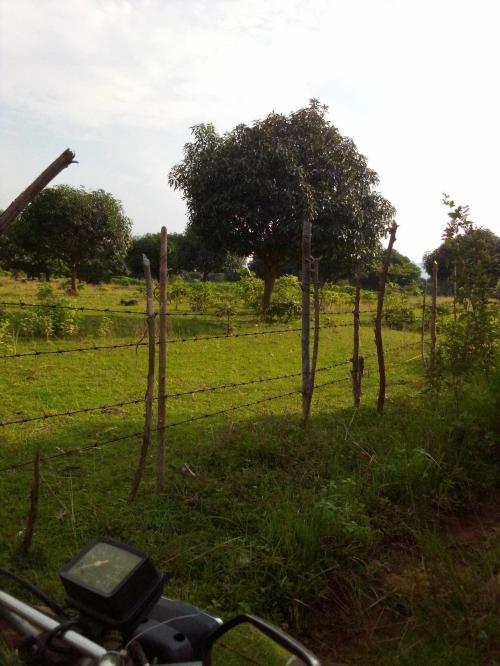 FOR SALE: Lot / Land / Farm Zambales 1