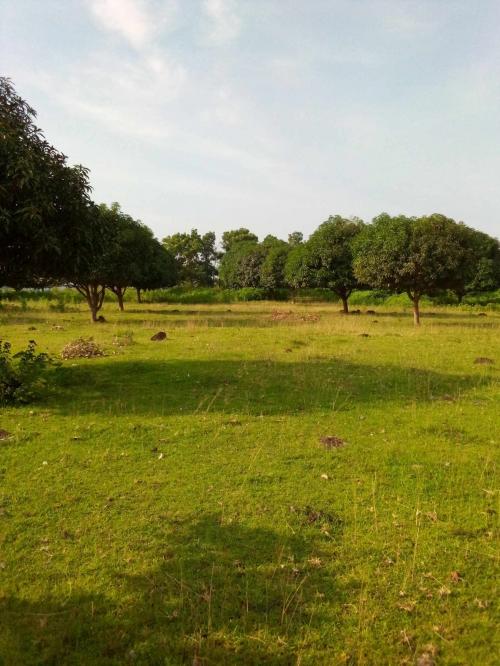 FOR SALE: Lot / Land / Farm Zambales 2