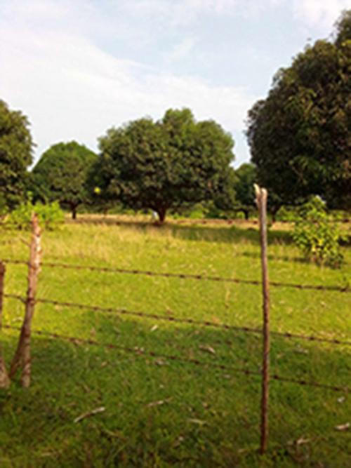 FOR SALE: Lot / Land / Farm Zambales 3