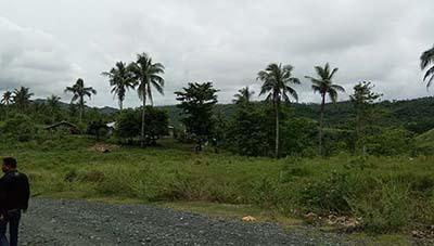 FOR SALE: Lot / Land / Farm Quezon > Other areas 1