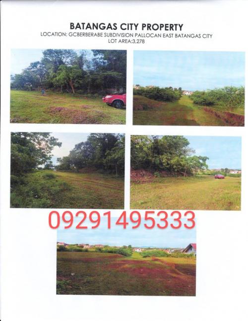 FOR SALE: Lot / Land / Farm Batangas > Batangas City 1