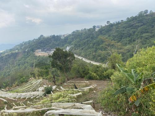 FOR SALE: Lot / Land / Farm Benguet