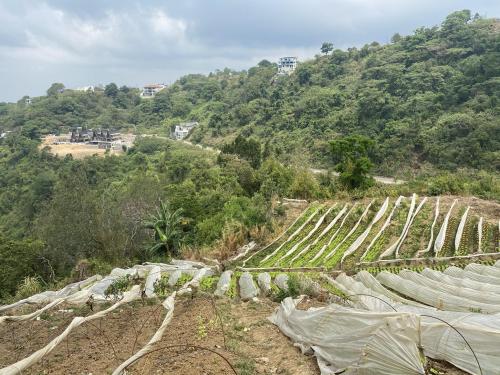 FOR SALE: Lot / Land / Farm Benguet 2