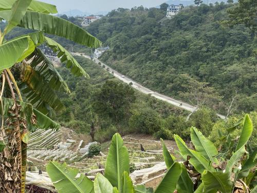FOR SALE: Lot / Land / Farm Benguet 6