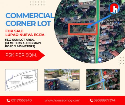 FOR SALE: Office / Commercial / Industrial Nueva Ecija