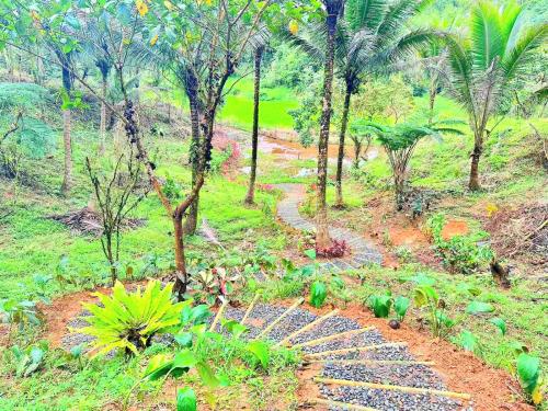 FOR SALE: Lot / Land / Farm Quezon > Lucena