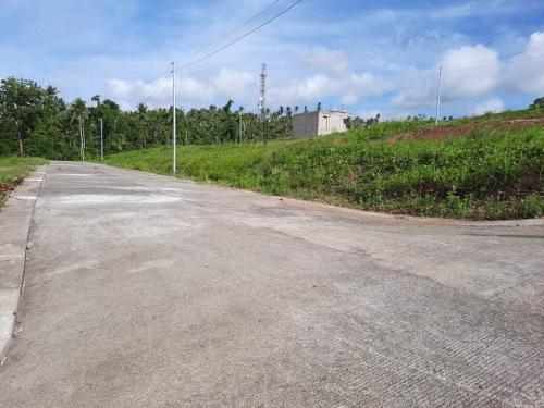 FOR SALE: Lot / Land / Farm Albay > Ligao