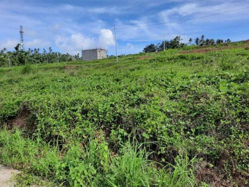 FOR SALE: Lot / Land / Farm Albay > Ligao 1