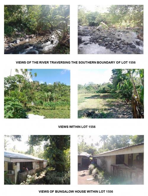 FOR SALE: Lot / Land / Farm Albay > Ligao