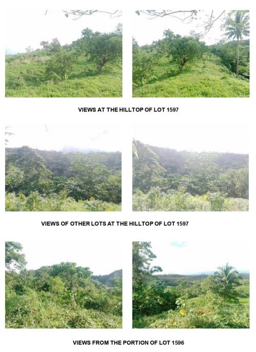 FOR SALE: Lot / Land / Farm Albay > Ligao 2