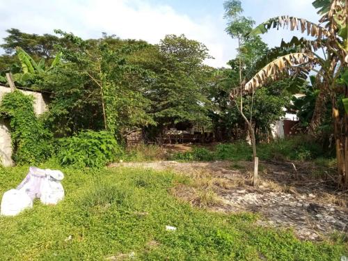 FOR SALE: Lot / Land / Farm Cavite > Dasmarinas 1