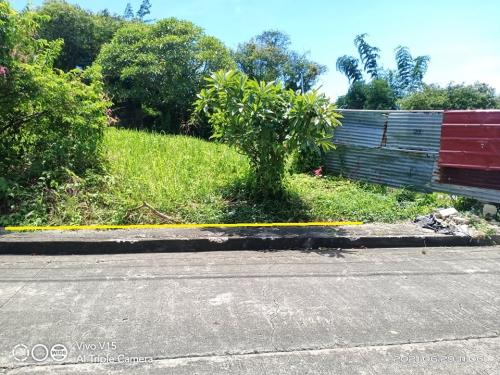 LOT FOR SALE BY THE LAND OWNER, ROYAL CEBU ESTATES,  LOCATED AT CASILI CONSOLACION CEBU.  Overlooking lot at Royale Cebu Estate, Consolacion Cebu.  Lot Area: 301 sq.m.  Price: Php 25,000.00 per sq.m. (negotiable)  Total Price: Php 7,525,000.00 NET  Cash T