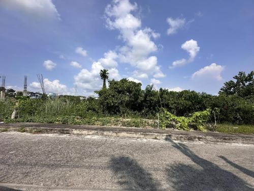  158 sq.m. OVERLOOKING LOT FOR SALE    LOCATION: Vista Grande Subdivision, Talisay City, Cebu.  PROPERTY DETAILS   LOT AREA: 158 sq.m. PRICE: Php 27,000 per sq.m. TOTAL CONTRACT PRICE: Php 4,266,000.00  Clean Title  Price is still open for negotiation  Fu