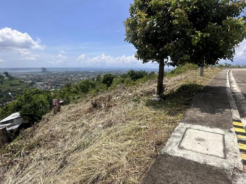 Looking for City View? 165 sq.m. Overlooking lot for sale LOCATION: Vista Grande Subdivision, Talisay City, Cebu Price: From Php 29,000 down to Php 25,000 per sq.m. Total Contract Price: Php 4,125,000.00 only SPOTCASH TERM ONLY NET of all expenses. Buyer 