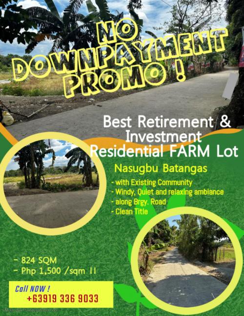 FOR SALE: Lot / Land / Farm Batangas