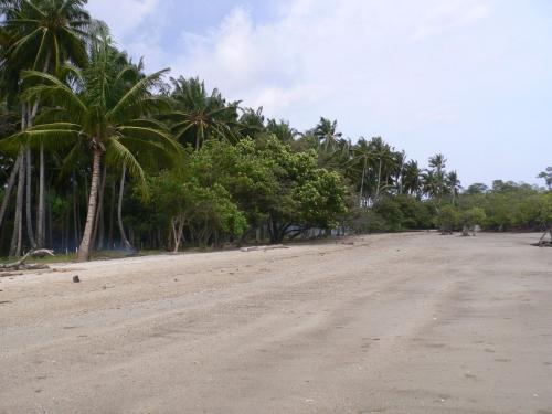 FOR SALE: Lot / Land / Farm Palawan