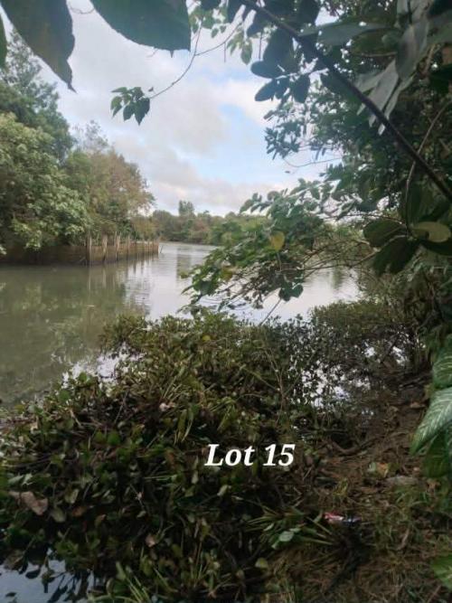 View Caliraya Lake from back of Lot 15