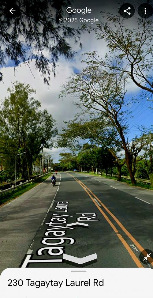 FOR SALE: Lot / Land / Farm Cavite 4