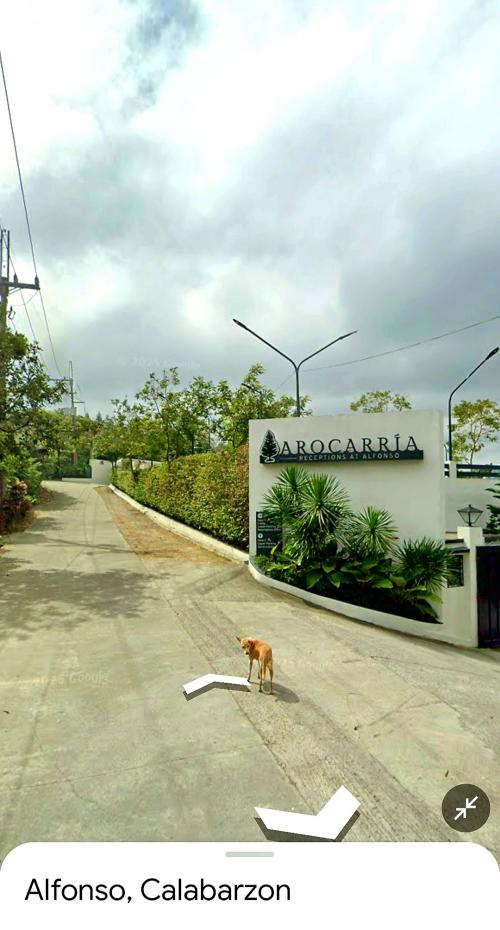 FOR SALE: Lot / Land / Farm Cavite 3