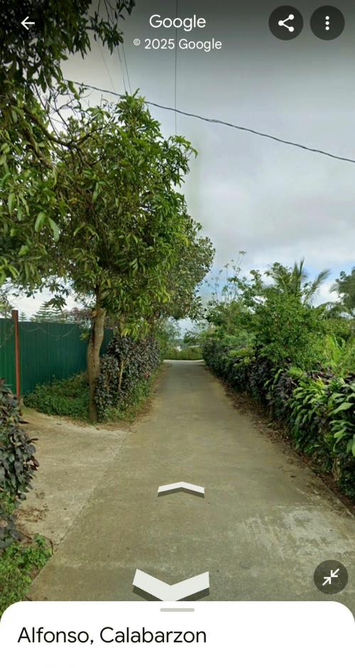 FOR SALE: Lot / Land / Farm Cavite 2