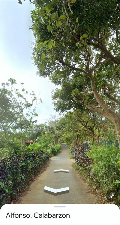 FOR SALE: Lot / Land / Farm Cavite 1