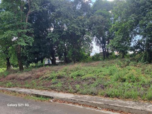Lot pic.2