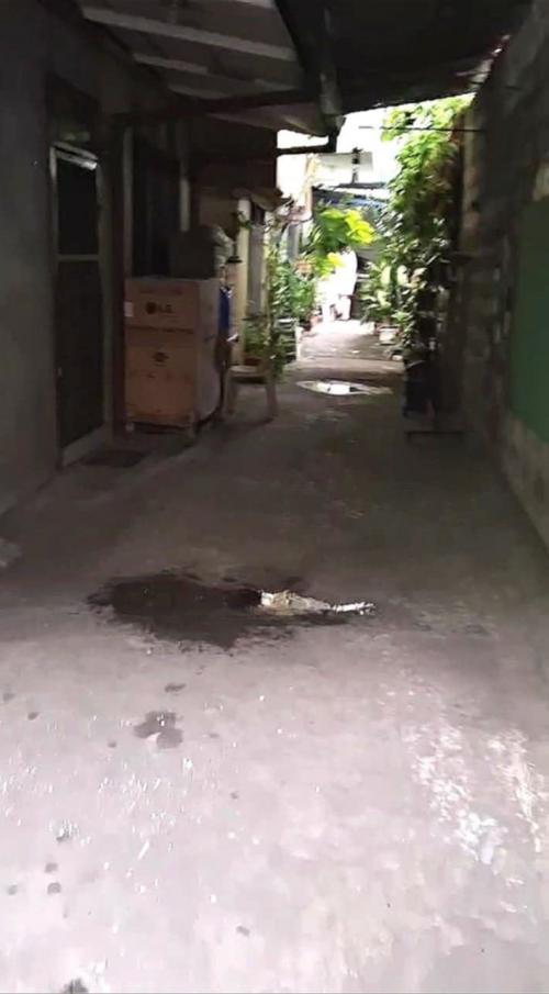 Inside the compound area 1
