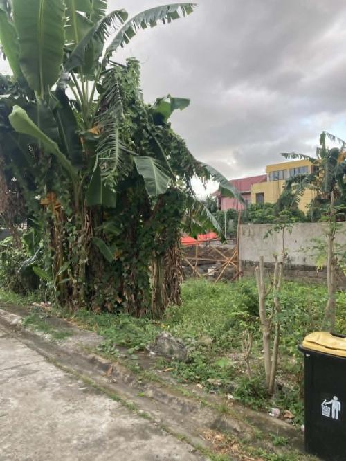 FOR SALE: Lot / Land / Farm Laguna > Sta Rosa 2