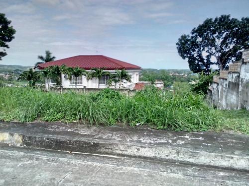 FOR SALE: Lot / Land / Farm Cebu > Other areas 2