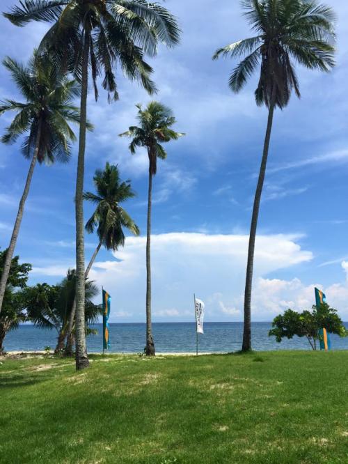 FOR SALE: Beach / Resort Batangas 1