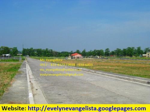 FOR SALE: Lot / Land / Farm Manila Metropolitan Area > Valenzuela 3