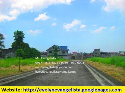 FOR SALE: Lot / Land / Farm Manila Metropolitan Area > Quezon 1