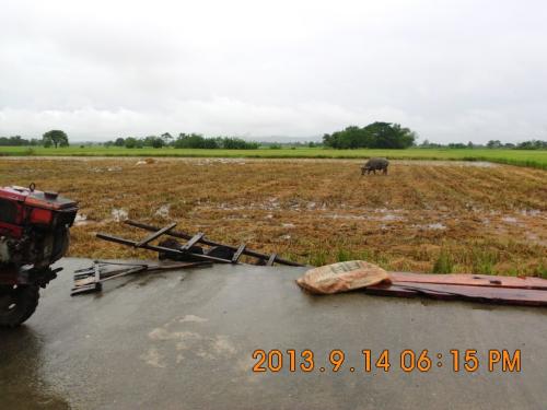 FOR SALE: Lot / Land / Farm Pangasinan 5