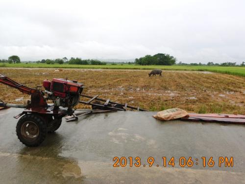 FOR SALE: Lot / Land / Farm Pangasinan 6