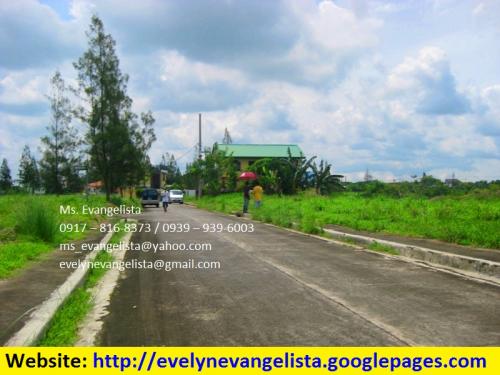 FOR SALE: Lot / Land / Farm Cavite > Dasmarinas 3